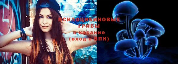 ПСИЛОЦИБИНОВЫЕ ГРИБЫ Арсеньев