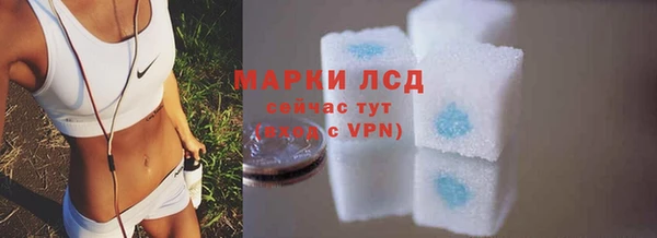 крисы Аркадак