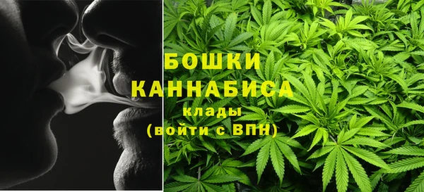 ПСИЛОЦИБИНОВЫЕ ГРИБЫ Арсеньев