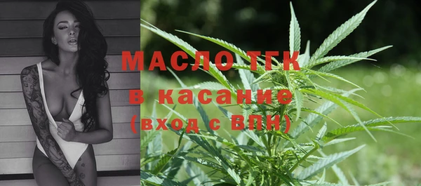 ПСИЛОЦИБИНОВЫЕ ГРИБЫ Арсеньев