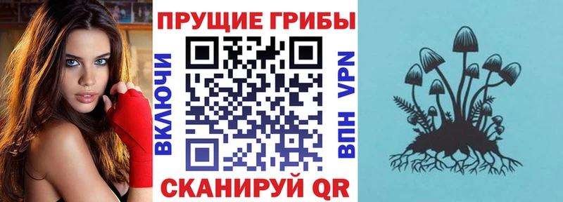 Псилоцибиновые грибы прущие грибы  дарк нет наркотические препараты  Сухой Лог 